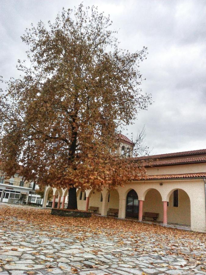 Village House Grevena Dış mekan fotoğraf